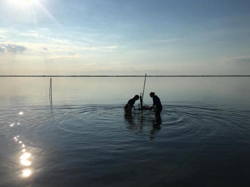 Students placing an aquatic eddy covariance system in South Bay - credit Berg Lab